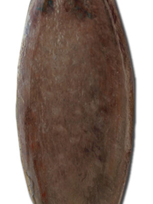 BHM-02.2006