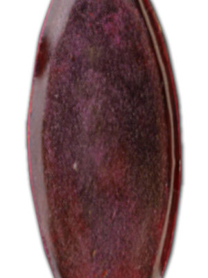 BHM-02.2007